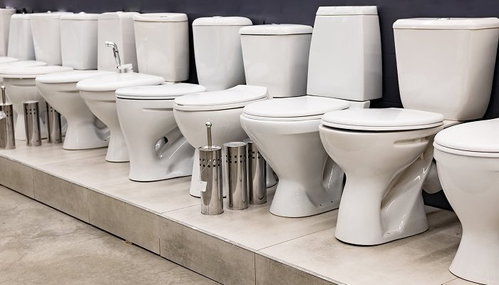 toilet-maintenance